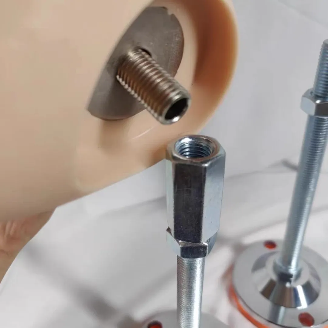 Sex doll head  stand